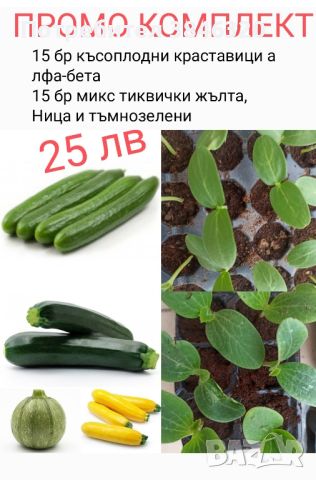 промо Комплект 30 бр растения микс тиквички и късоплодни краставици , снимка 1