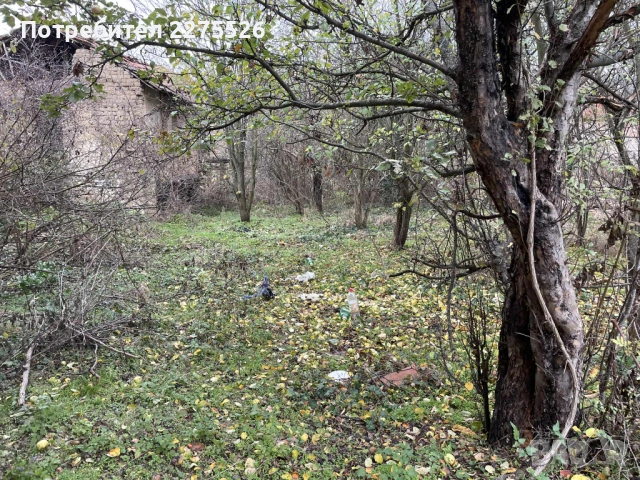 Имот 1200кв.м. с. Писарово, снимка 6 - Къщи - 53599104