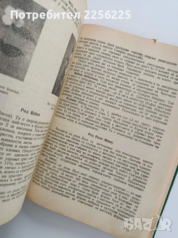 Декоративна дендрология, снимка 5 - Специализирана литература - 53822646