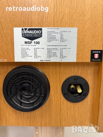 🔉Аудиофилски масивни тонколони Dynaudio MSP 100 - 130-220W, снимка 6 - Тонколони - 52496268