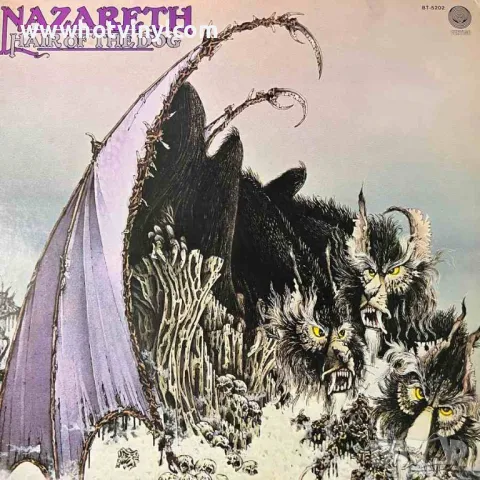 Грамофонни плочи на NAZARETH, снимка 2 - Грамофонни плочи - 19230522