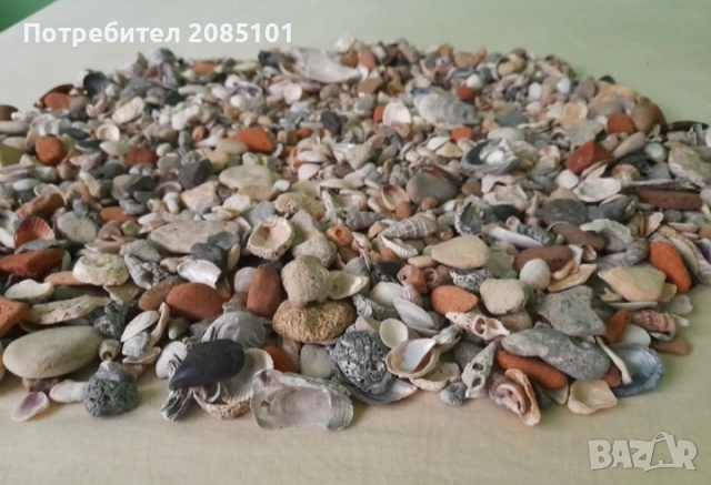 Морски мидички и камъчета, снимка 4 - Други стоки за дома - 52146747