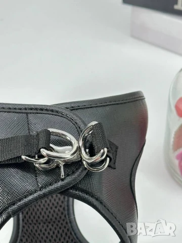 каишки за кучета gucci karl lagerfeld , снимка 4 - За кучета - 50731600