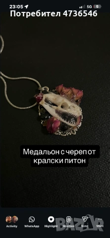 Медальон с череп от кралски питон