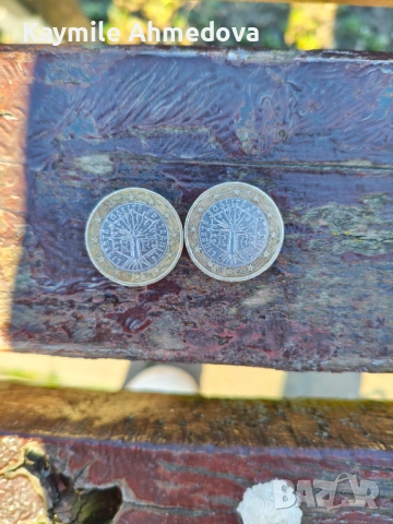 1 evro два боря