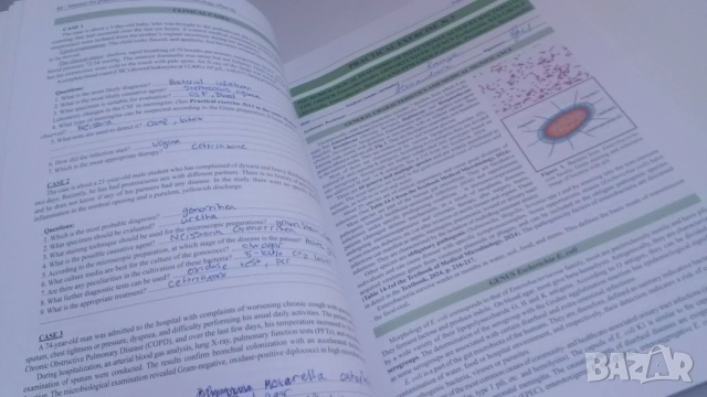 Микробиология - Manual for practical exercises in medical microbiology Part II - Гергова, 3-то изд., снимка 7 - Учебници, учебни тетрадки - 54084480