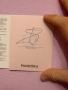 Гривна Пандора , снимка 3