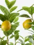 Лимон-95 см./дръвче лимон/изкуствено дръвче/, снимка 3