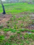 ПРОДАВА ПАРЦЕЛ В РЕГУЛАЦИЯ С ТОК,ВОДА В с.БЕЗВОДИЦА,обл.ДОБРИЧ, снимка 4