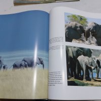Книга за животинския свят в Африка и Азия , снимка 5 - Специализирана литература - 45325228