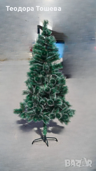 Коледна елха, снимка 1