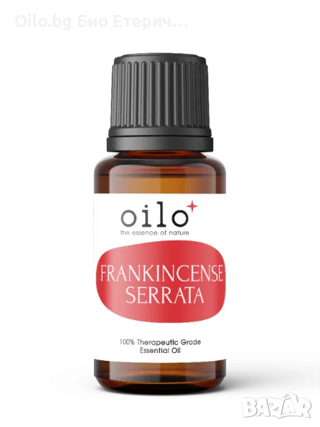 Oilo БИО Етерично Масло от Тамян серата - Frankincense Serrata Oilo 5 мл., снимка 1