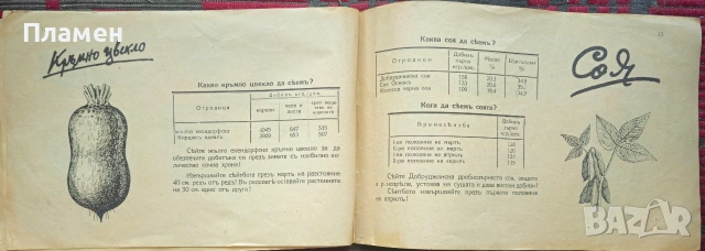 Пролетна сеитба Панайотъ Маждраковъ /1942/, снимка 3 - Антикварни и старинни предмети - 53873124