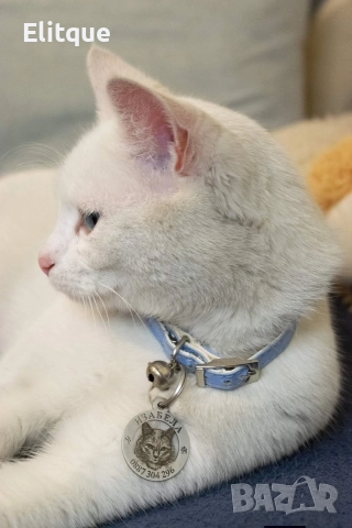 медальони за кучета от неръждаема стомана , снимка 3 - За кучета - 52741130