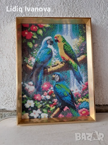 Диамантен гоблен папагали-готов и рамкиран