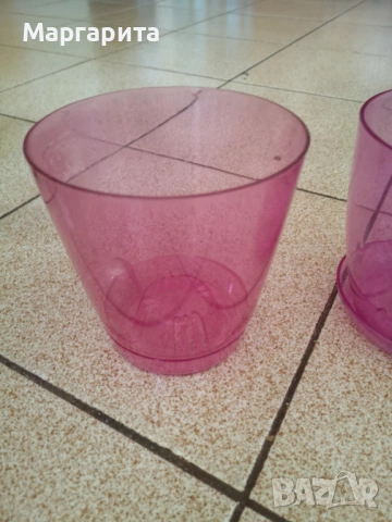 розови и лилава прозрачни саксии, снимка 2 - Стайни растения - 54264958