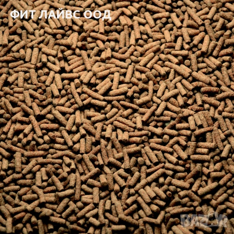 GAMMARUS STICKS, снимка 3 - Рибки - 52337923