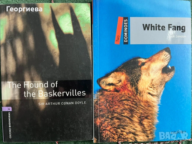 Книги за Britanica, снимка 2 - Чуждоезиково обучение, речници - 53558287