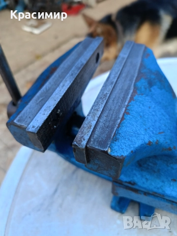 Немско менгеме - 12 кг. отлично състояние , снимка 3 - Менгемета - 52919326