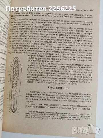 Зоология с основи на екологията, снимка 8 - Специализирана литература - 52170120