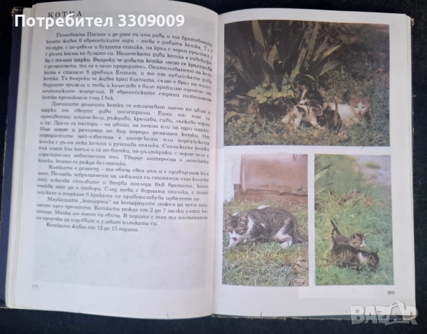 Албум за растения u Животни, снимка 4 - Българска литература - 51793976