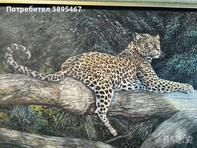 Маслена творба върху платно "Леопард върху дърво", снимка 2 - Картини - 45916309