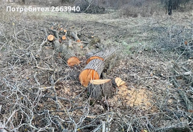 Дърва/трупи за огрев от частен двор