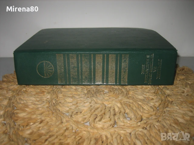 Речник на чуждите думи в българския език - БАН