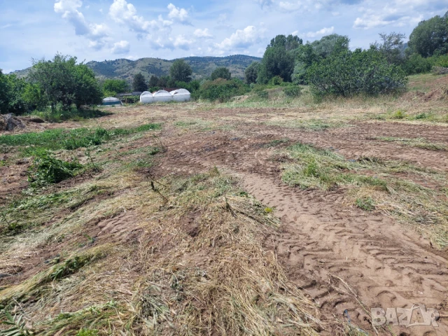 Парцел в близост до гръцката граница, снимка 5 - Парцели - 50504144