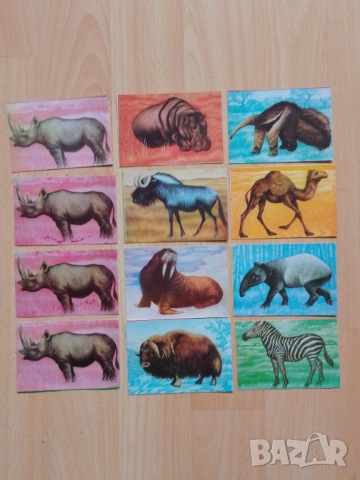 Календарчета животни , снимка 2 - Колекции - 53409689