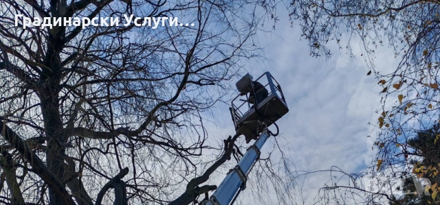 Предлагаме косене, отстраняване и кастрене на дървета, оформяне на храсти и други градинарски услуги, снимка 13 - Други почистващи услуги - 53608621