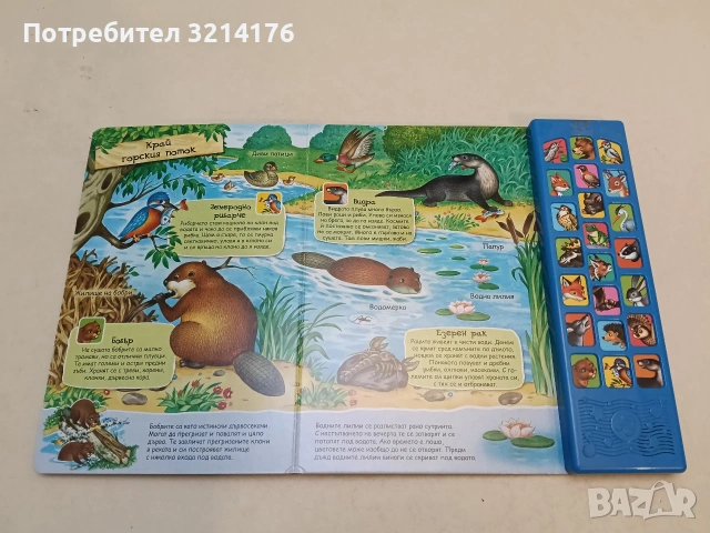 Разходка в гората - книга със звуци - Магдалена Стоянова (Фют, Лукс. издание, Отл. състояние), снимка 5 - Детски книжки - 53736281