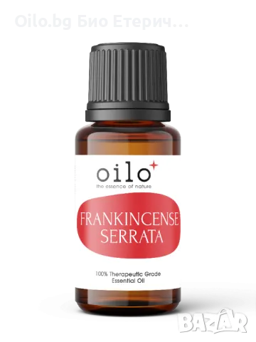 Oilo БИО Етерично Масло от Тамян серата - Frankincense Serrata Oilo 5 мл.