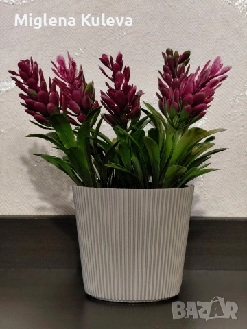 Мини саксийка с изкуствено цвете Циклама 
