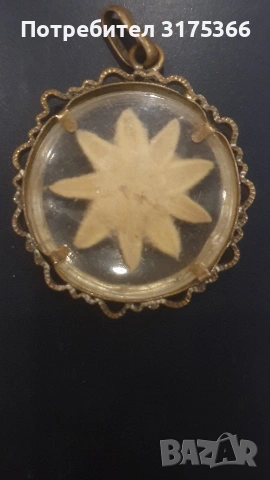 Еделвайс стара висулка  бижу хербарий, снимка 2 - Колиета, медальони, синджири - 53047683