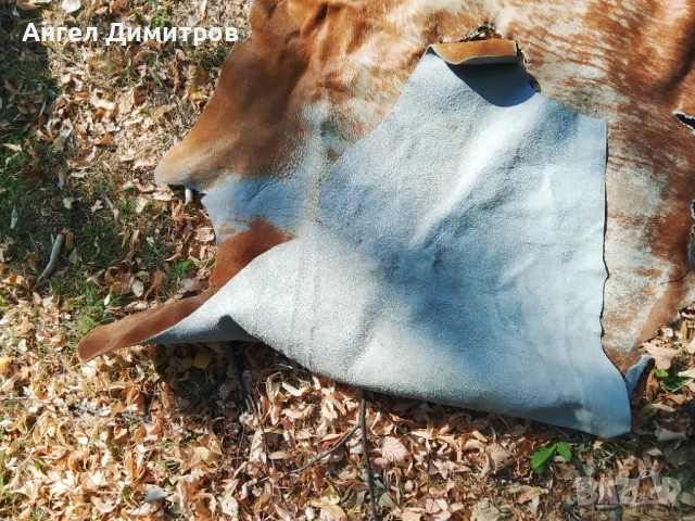 Страхотна конска кожа , снимка 4 - Колекции - 51066604