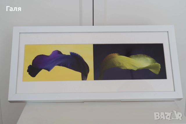 Фотография диптих, рамкирана, цветна, снимка 3 - Декорация за дома - 52823647