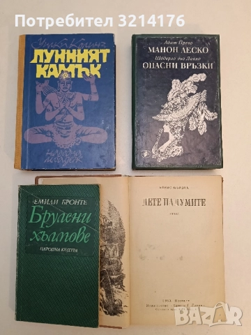 Дете на думите - Айрис Мърдок, снимка 2 - Художествена литература - 51741763