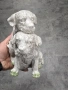 статуетка кученца, снимка 2