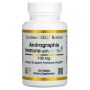 California Gold Nutrition Andrographis Immune с AP-Bio, 120 таблетки, снимка 1