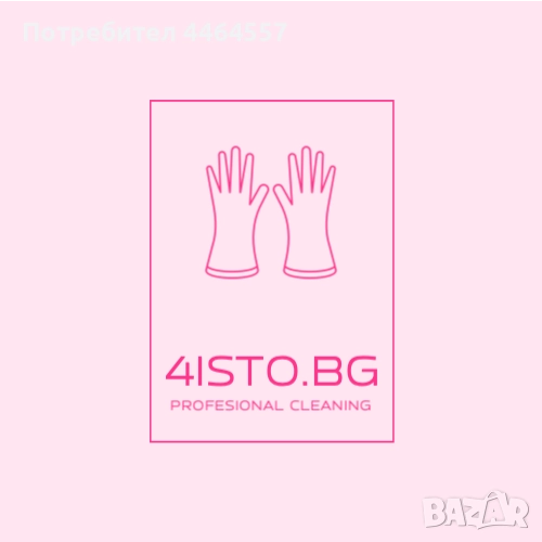 Иконом (ка) , снимка 1