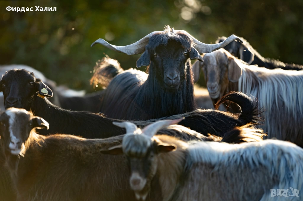 Продавам, снимка 1