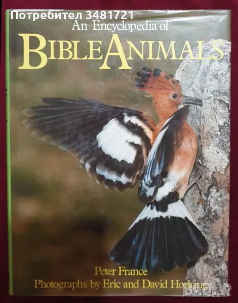 Енциклопедия на животните в Библията / An Encyclopedia of Bible Animals, снимка 1