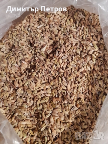 Гръцки анасон