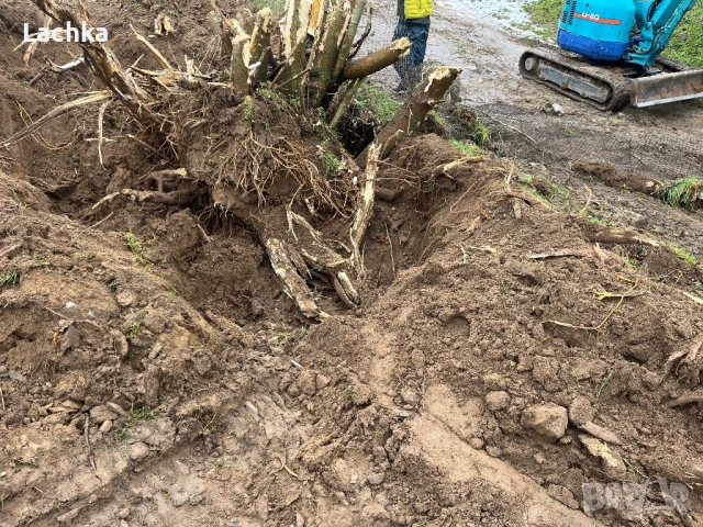 Услуги с багер и самосвал до 3.5 т, снимка 7 - Кърти, чисти, извозва - 53576965