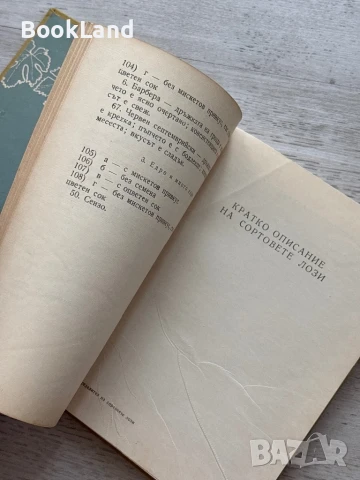 Определител на сортовете лози Атанас Дончев , снимка 12 - Художествена литература - 50952075