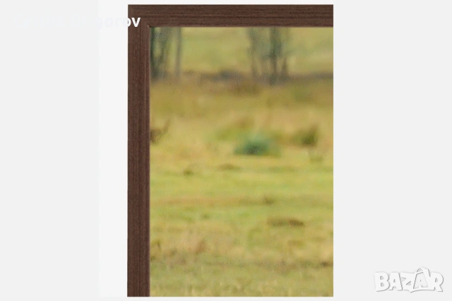 Фотокартина с благороден елен, снимка 2 - Декорация за дома - 53961085