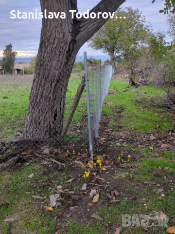 Имот с къща в с. Бързица, общ. Провадия, снимка 2 - Къщи - 52953368