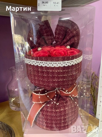 Стайни растения за дома и офиса , снимка 9 - Стайни растения - 52435932