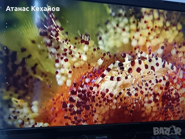 ТВ Тошиба RAGZA